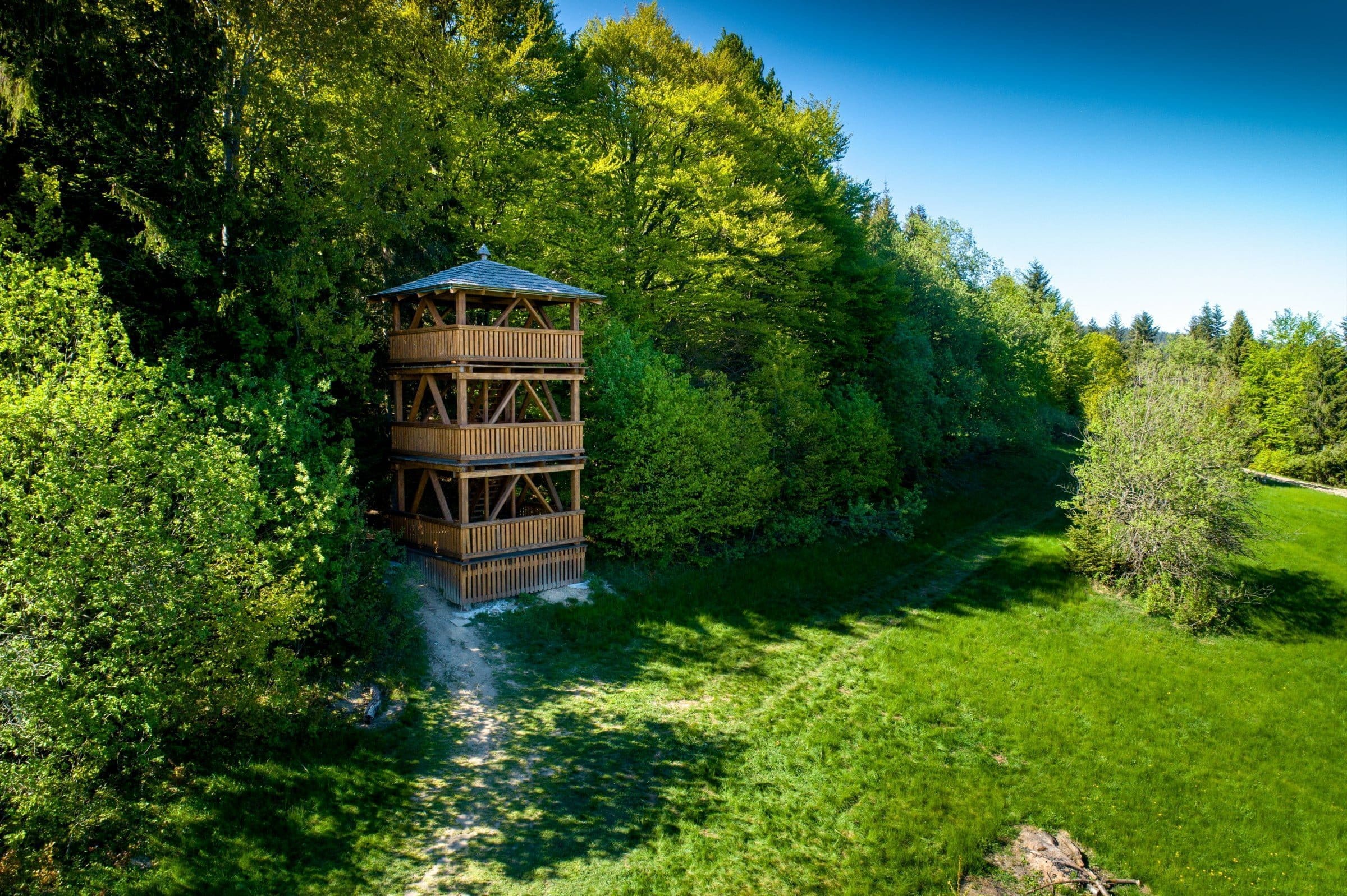 lesná